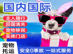 常德桃花源航空运输国际宠物托运 【国